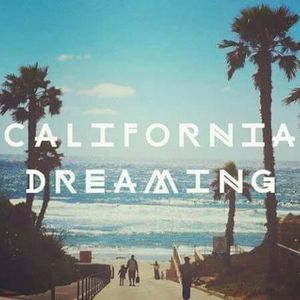 Meet your Posher, Paulina